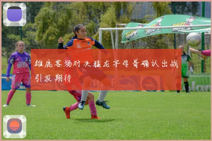 雄鹿客场对决猛龙字母哥确认出战引发期待