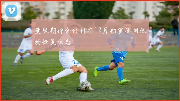 曼联期待舍什科在12月初重返训练场恢复状态