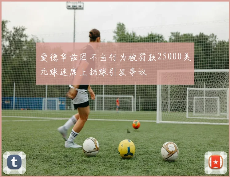 爱德华兹因不当行为被罚款25000美元球迷席上扔球引发争议