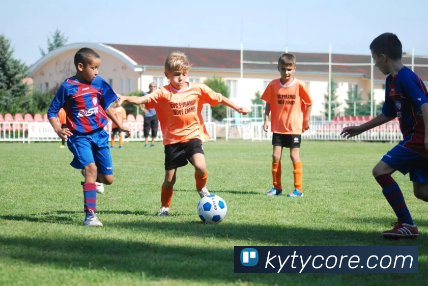 多媒体互动体验